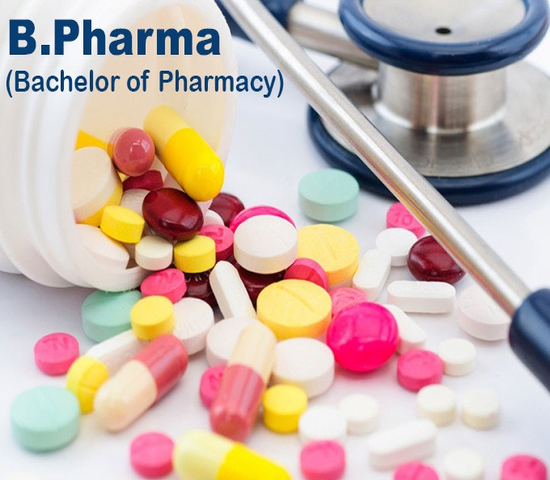 Service Provider of B. Pharma in New Delhi, Delhi, India.