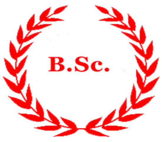 Service Provider of B.SC in New Delhi, Delhi, India.